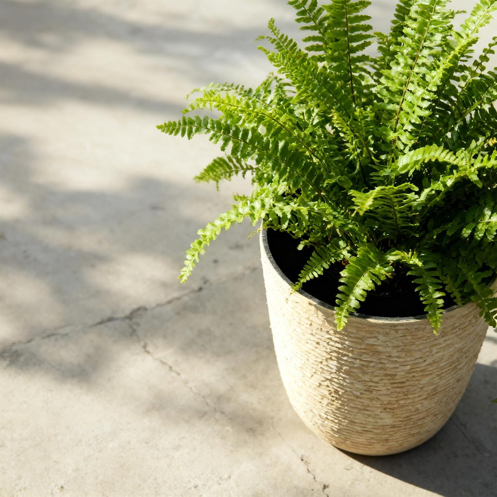 2-Pack 9 Gallon Beige Stone Finish Tall Planters