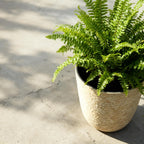 2-Pack 9 Gallon Beige Stone Finish Tall Planters