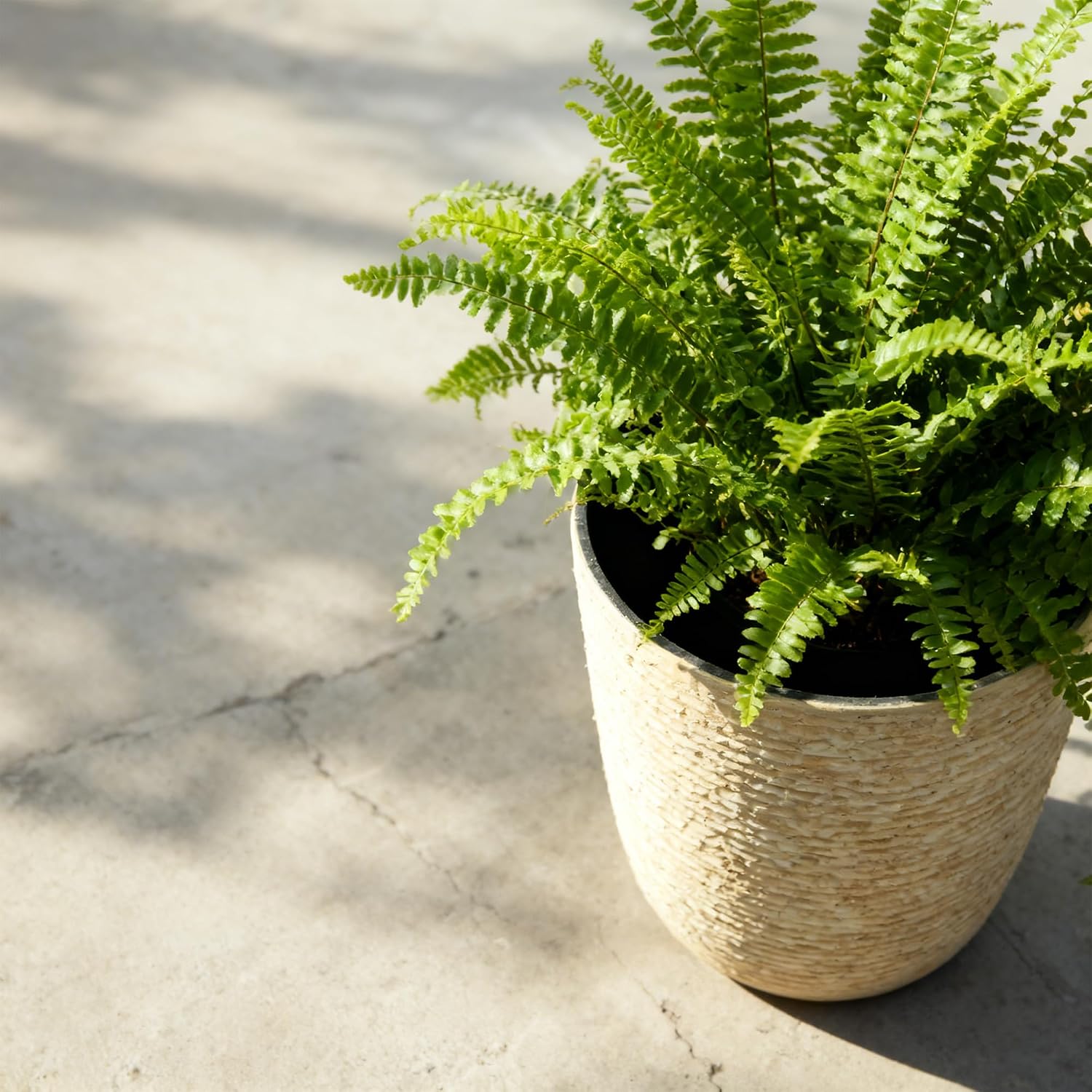 2-Pack 9 Gallon Beige Stone Finish Tall Planters