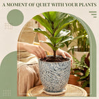 9.5" Spotted Blue Ceramic Planter with Saucer